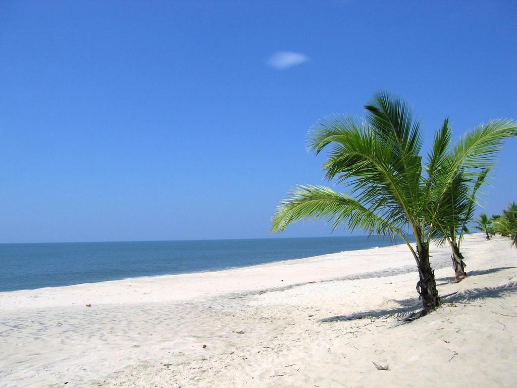 Marari Felix Beach Homestay Mararikulam Eksteriør bilde